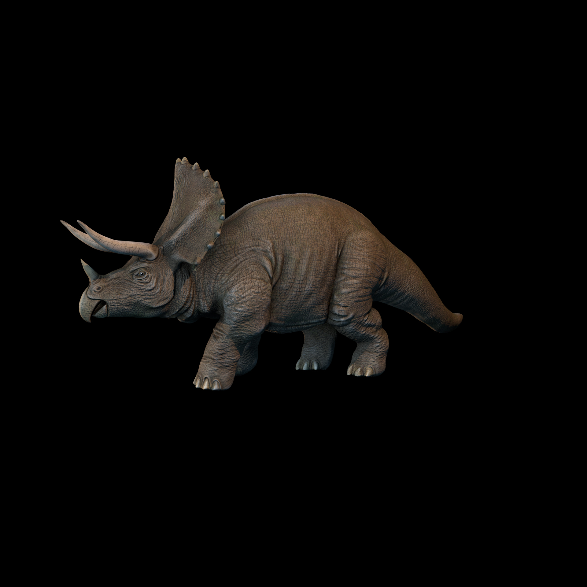 triceratops view in 3d