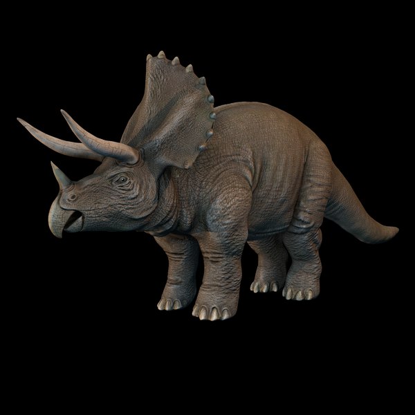 triceratops view in 3d