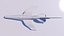 futuristic airline
