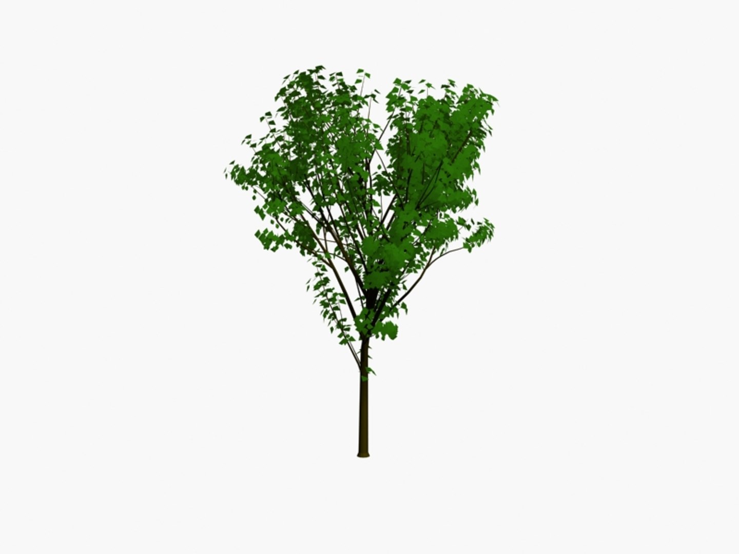 3d model trees https://p.turbosquid.com/ts-thumb/h6/btn862/ELBgSGTc/tree8pck3/jpg/1194470830/1920x1080/fit_q87/18a4fd66c31be94c5d5c0bf076179579b4ef64b5/tree8pck3.jpg