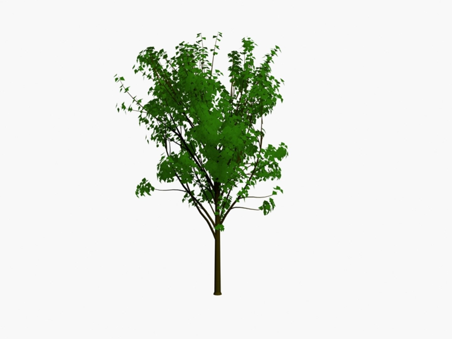 3d model trees https://p.turbosquid.com/ts-thumb/h6/btn862/H5QUqj25/tree2pck3/jpg/1194537917/1920x1080/fit_q87/f8a29ee5b4f15aa906861c266254ae3f73d8bddf/tree2pck3.jpg