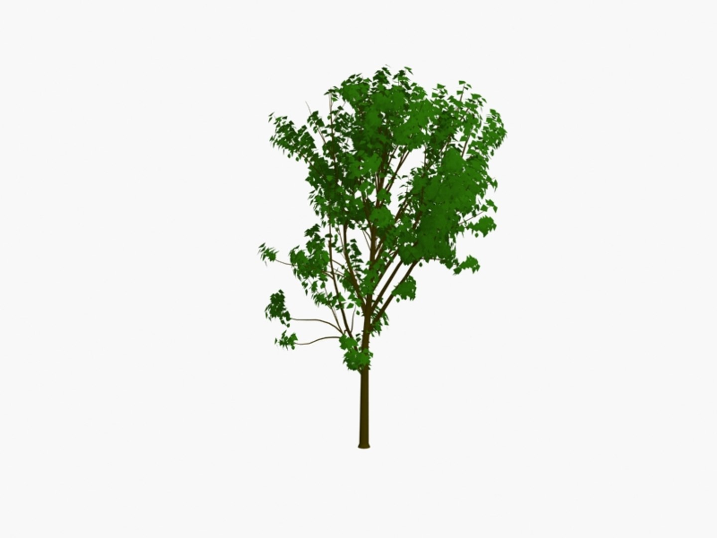 3d model trees https://p.turbosquid.com/ts-thumb/h6/btn862/QvM8Bz9z/tree3pck3/jpg/1194470799/1920x1080/fit_q87/7549edcf50282dad79a070365069f85904c5fb1b/tree3pck3.jpg