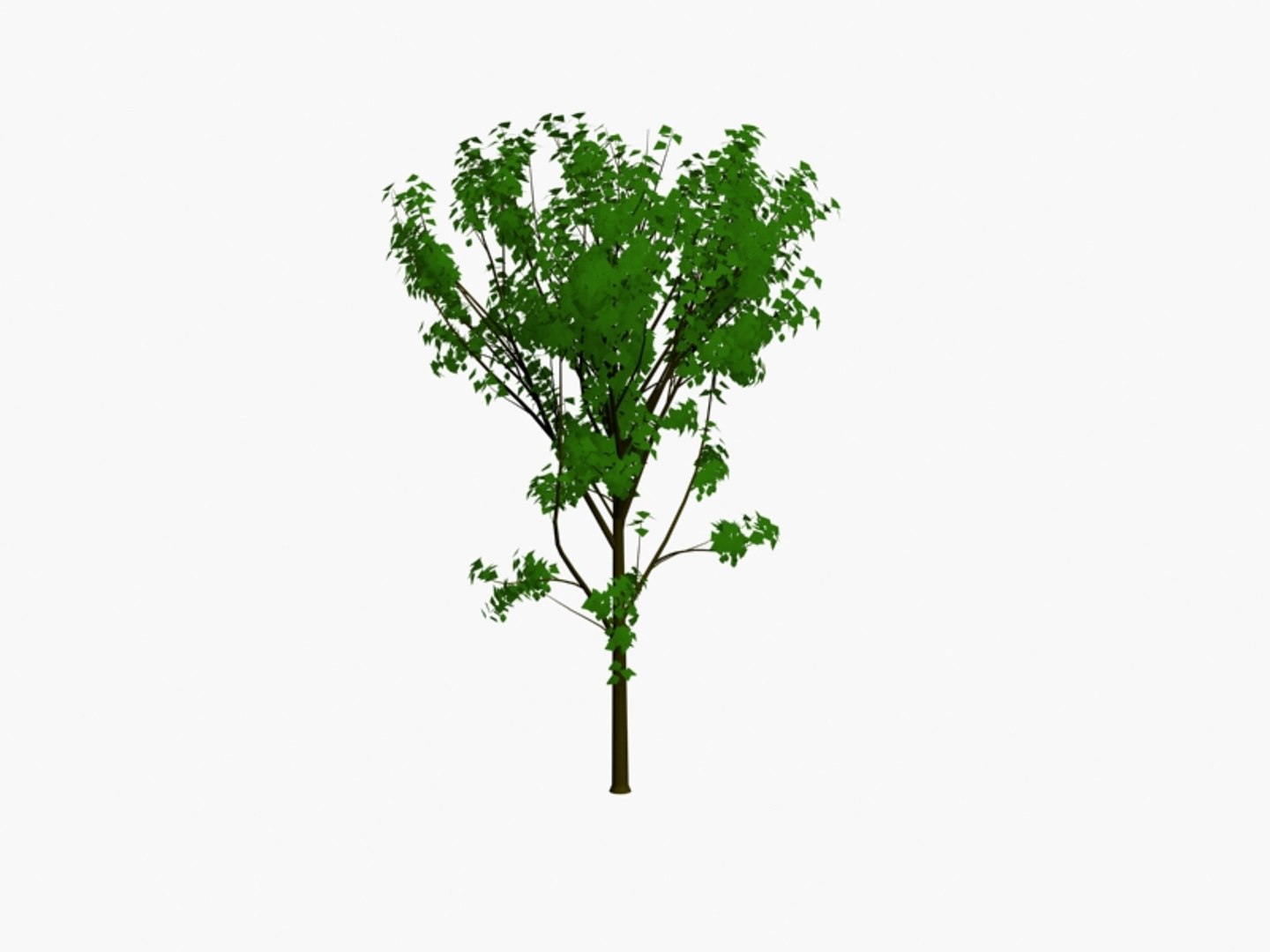 3d model trees https://p.turbosquid.com/ts-thumb/h6/btn862/Uqanm0ni/tree7pck3/jpg/1194470826/1920x1080/fit_q87/3e6bda4aa4a9a4b873d78161f5785e4275a27437/tree7pck3.jpg