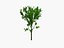 tree pack 3