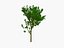 tree pack 3