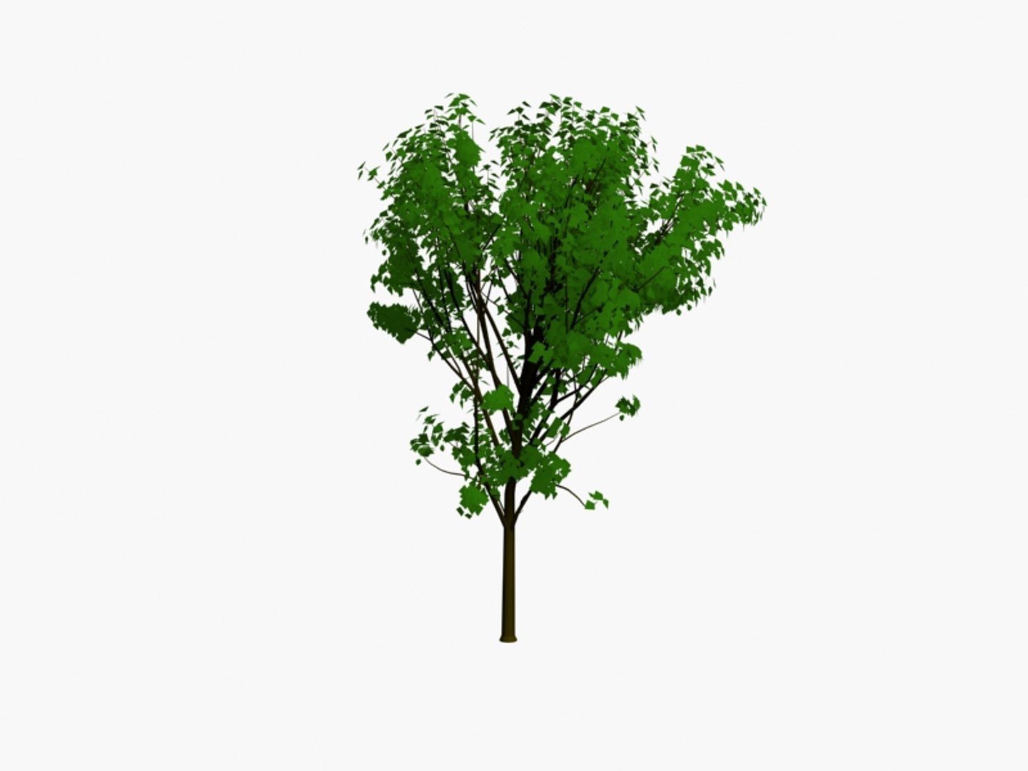 3d model trees https://p.turbosquid.com/ts-thumb/h6/btn862/jG6ZBR0M/tree6pck3/jpg/1194470821/1920x1080/fit_q87/634e3970e6ed0d15f7423d279737d5fb6532205b/tree6pck3.jpg