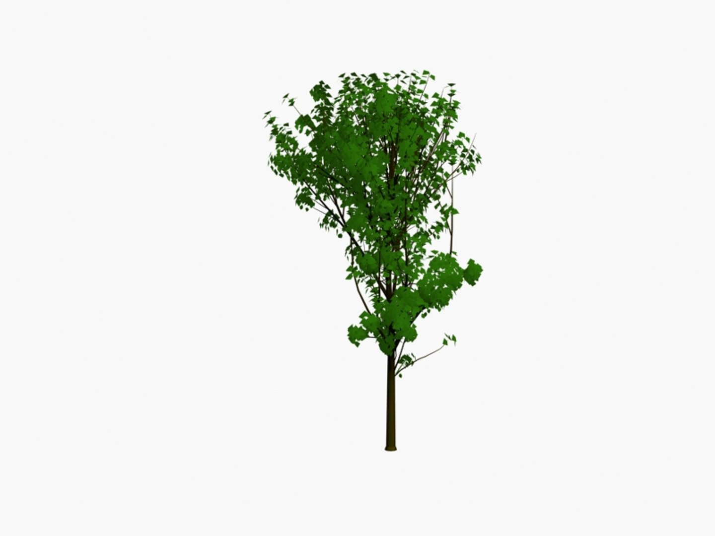 3d model trees https://p.turbosquid.com/ts-thumb/h6/btn862/rLh8dJ30/tree5pck3/jpg/1194537930/1920x1080/fit_q87/bfd9d84e9400498b417d3d87d651eedcc06a4220/tree5pck3.jpg