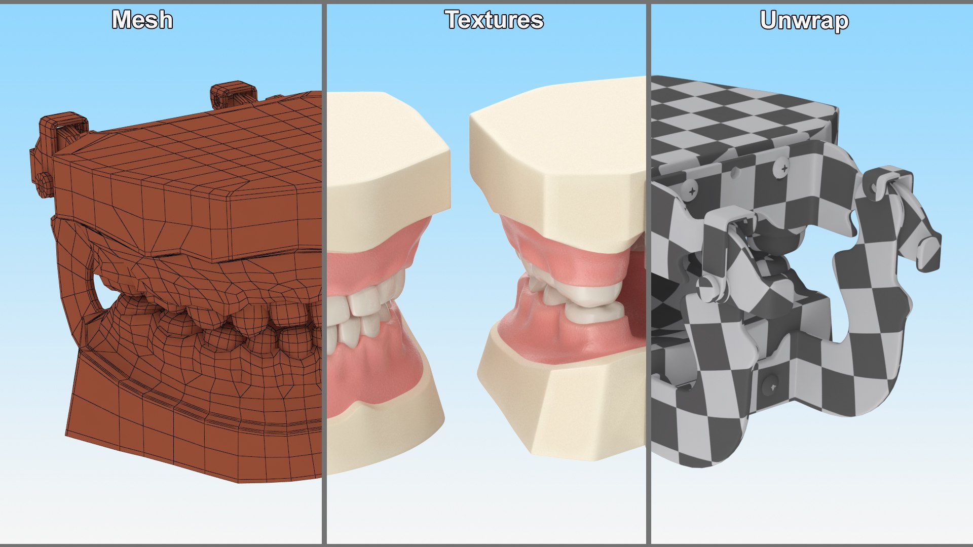 Dental Anatomy Educational Pediatric Kit with Removable Open Bite Teeth 3D model https://p.turbosquid.com/ts-thumb/h6/egzAT4/8c/dentalanatomyeducationalpediatrickitwithremovableopenbiteteethvray3dmodel014/jpg/1680898770/1920x1080/fit_q87/34f8b203c518c39a1871fd28cd307bed62373f16/dentalanatomyeducationalpediatrickitwithremovableopenbiteteethvray3dmodel014.jpg