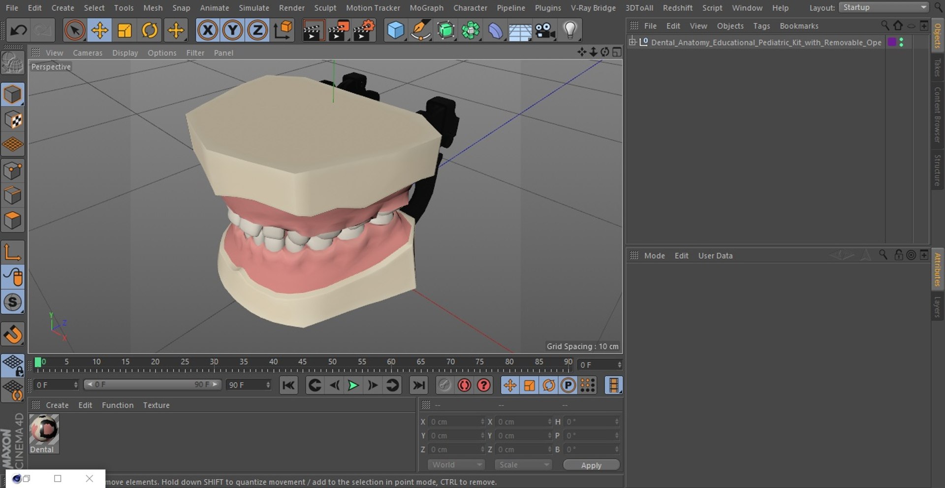 Dental Anatomy Educational Pediatric Kit with Removable Open Bite Teeth 3D model https://p.turbosquid.com/ts-thumb/h6/egzAT4/Ad/dentalanatomyeducationalpediatrickitwithremovableopenbiteteethvray3dmodel023/jpg/1680898796/1920x1080/fit_q87/8d3f22797159f2a4f891a350c388fcc7ccf16f4b/dentalanatomyeducationalpediatrickitwithremovableopenbiteteethvray3dmodel023.jpg