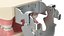 Dental Anatomy Educational Pediatric Kit with Removable Open Bite Teeth