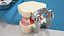 Dental Anatomy Educational Pediatric Kit with Removable Open Bite Teeth