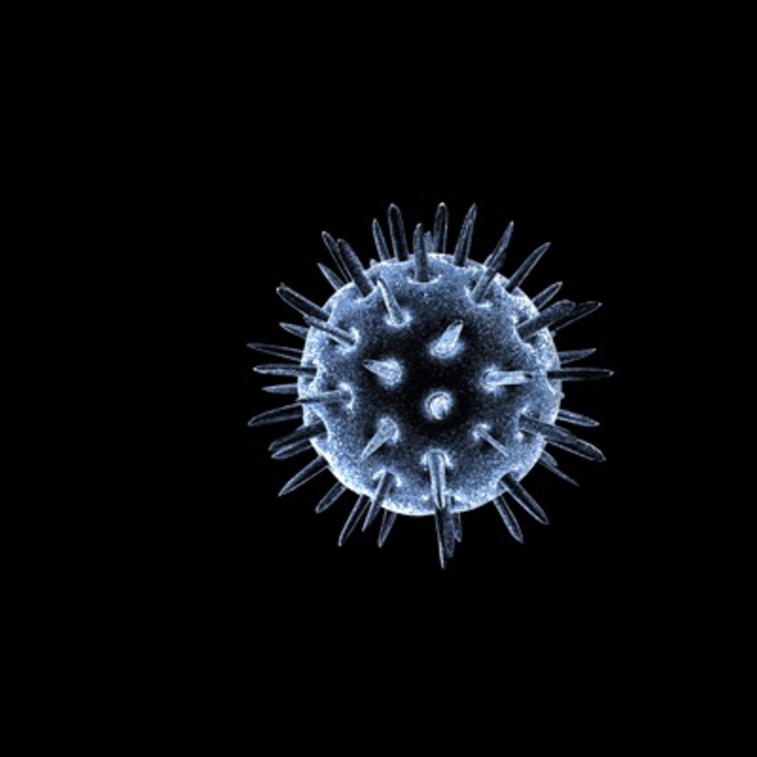 virus 3d c4d https://p.turbosquid.com/ts-thumb/h7/3Gu4PS/6BrUuQJC/calcivirus3/jpg/1255032543/1920x1080/fit_q87/4442e9c7ebff67d3578efd15d2bd56a0dbd03d6f/calcivirus3.jpg