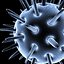 calcivirus