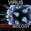 calcivirus
