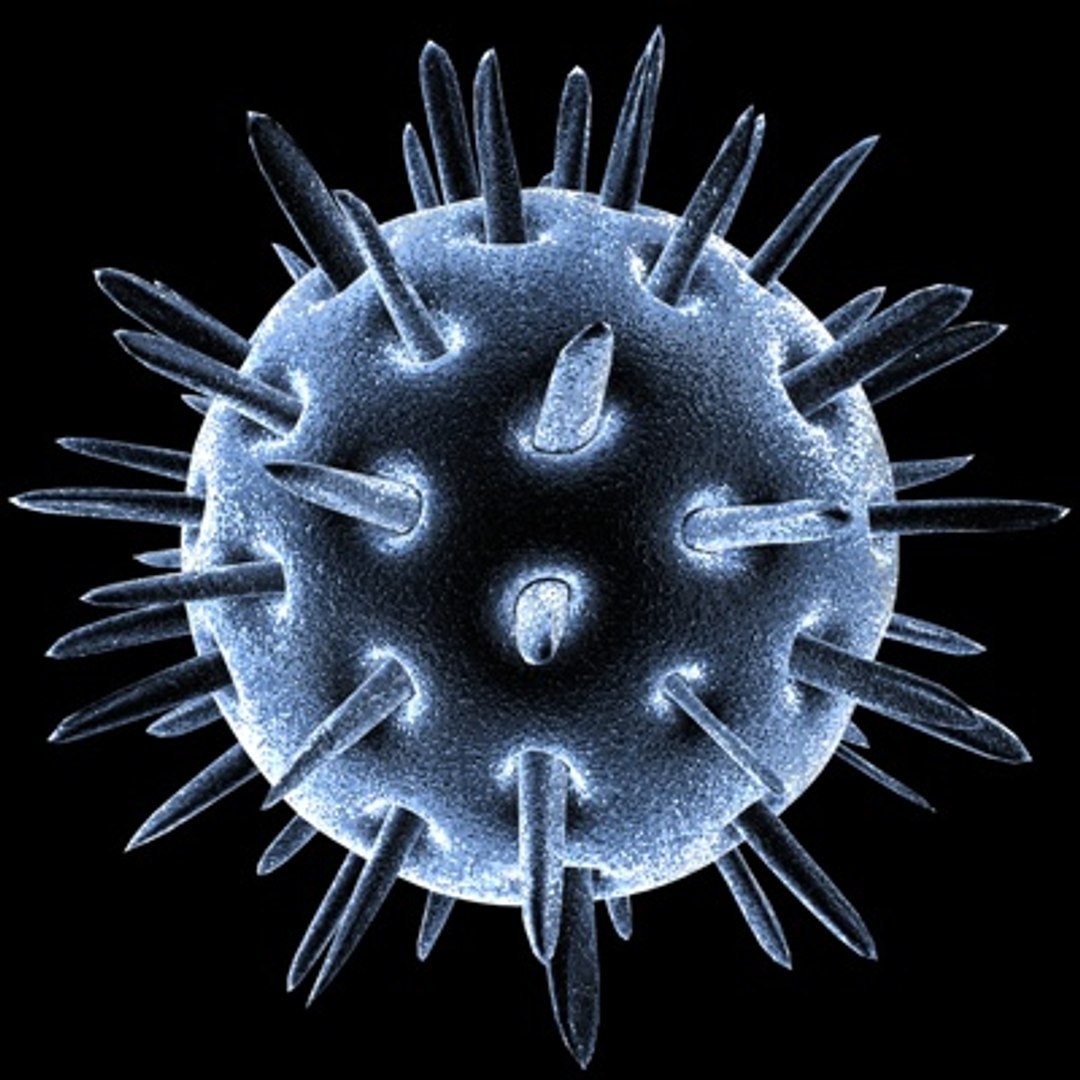 virus 3d c4d https://p.turbosquid.com/ts-thumb/h7/3Gu4PS/TgqpxfKy/calcivius/jpg/1255032547/1920x1080/fit_q87/535bab6ff1e2331c48a402904ab0e04dfa6735d7/calcivius.jpg