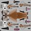 Gazelle Xgen Rigged
