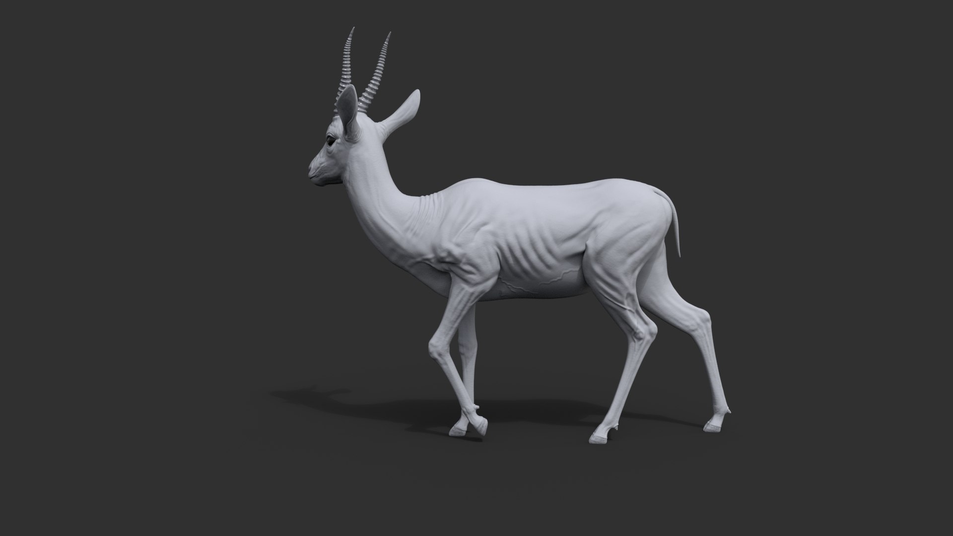 3D Gazelle Xgen Rigged https://p.turbosquid.com/ts-thumb/h7/FkBqIw/HR/dispc/jpg/1766230082/1920x1080/fit_q87/1cd1994b0eabedb6f7ad859b4342248d6d70035b/dispc.jpg