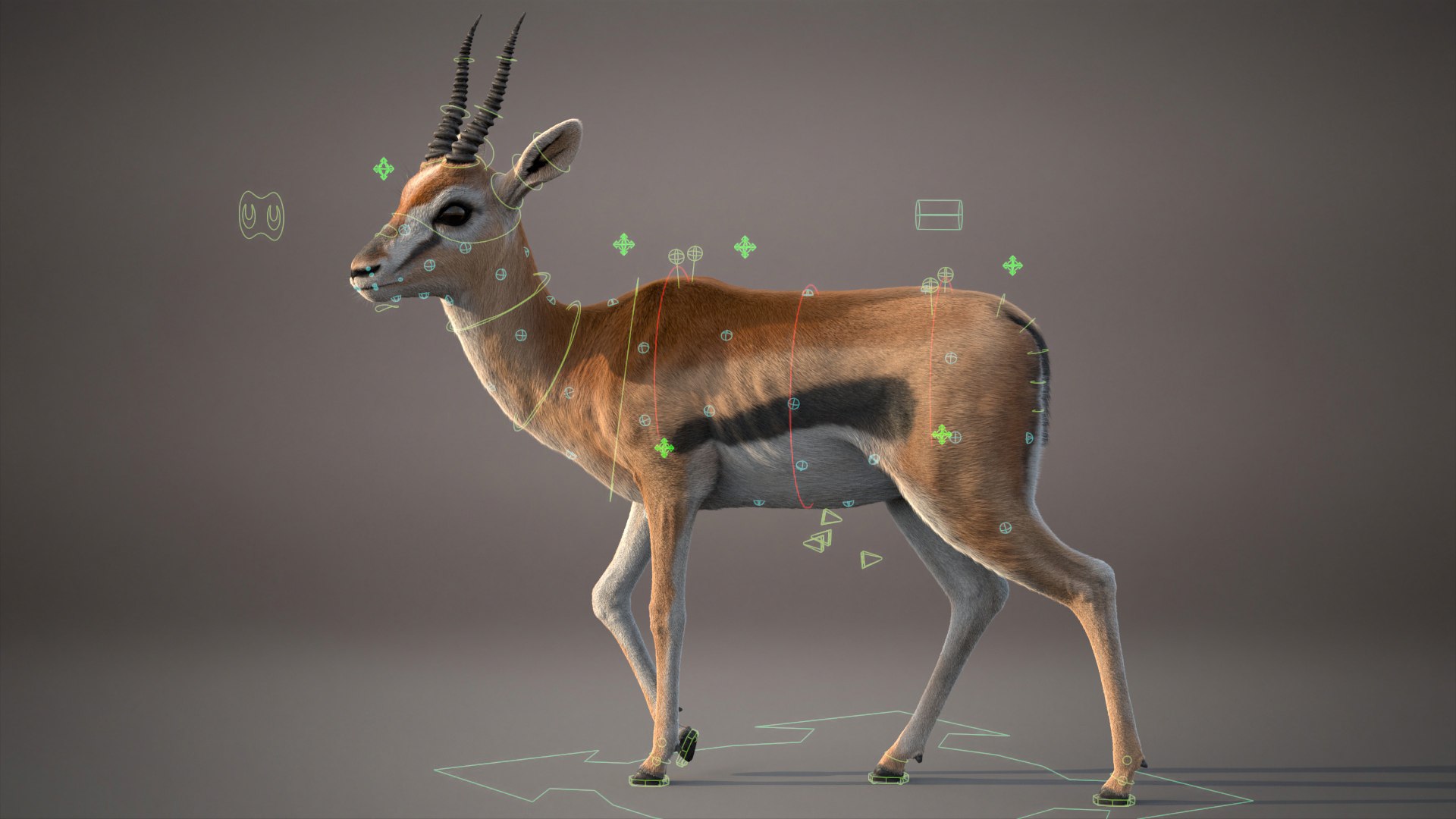 3D Gazelle Xgen Rigged https://p.turbosquid.com/ts-thumb/h7/FkBqIw/Mr/gazelleb/jpg/1766229451/1920x1080/fit_q87/9ba4ffd6e3821cc3d2282223e79a2d4c5ee1c48e/gazelleb.jpg