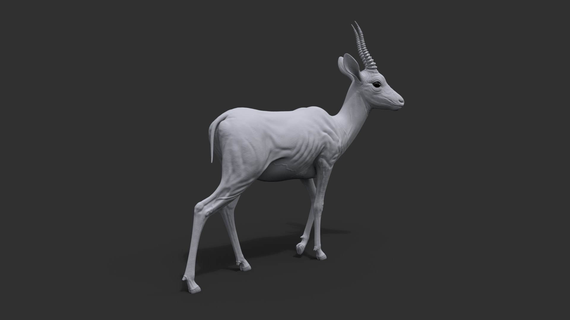 3D Gazelle Xgen Rigged https://p.turbosquid.com/ts-thumb/h7/FkBqIw/zB/dispb/jpg/1766230081/1920x1080/fit_q87/9fec9a4dfb8b5557ba8bc11418eeb8c6a28beb47/dispb.jpg