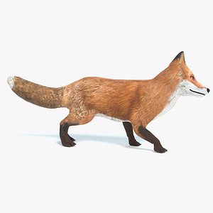 Fox Animated