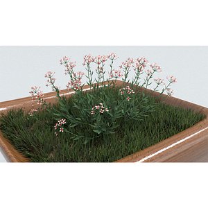 3D laos Rosalita model