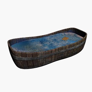 Old Bathtube 3D