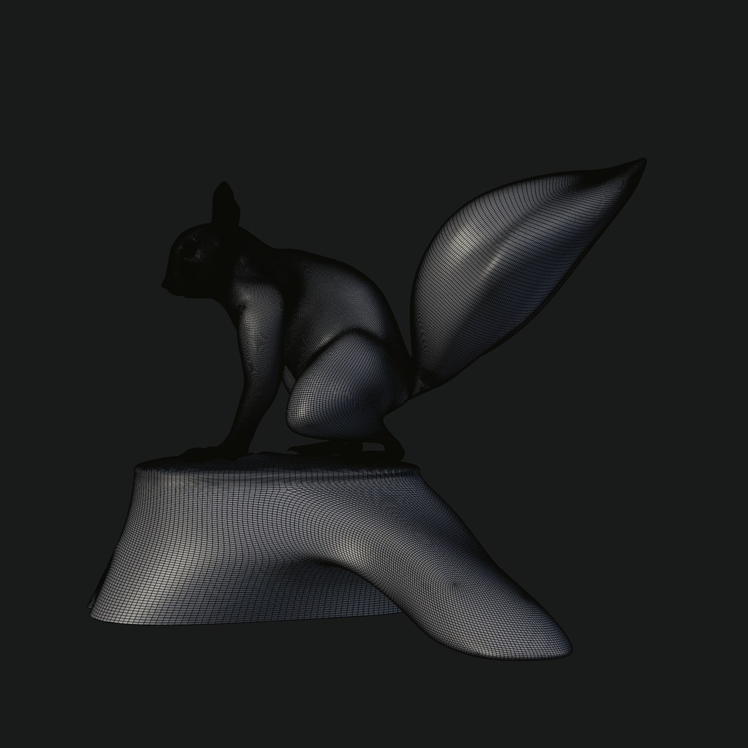 Squirrel 3D Model - TurboSquid 2049267