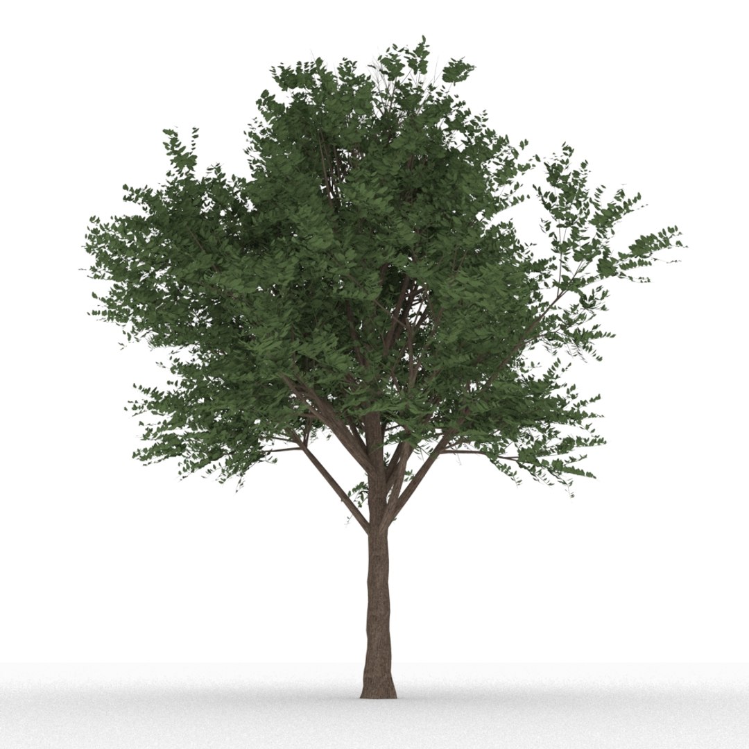 3d model vraymesh mentalray https://p.turbosquid.com/ts-thumb/h7/iracoS/fOcUImxY/2/jpg/1490417409/1920x1080/fit_q87/66890c73ef32ae542613b636aa25aebd966f7722/2.jpg
