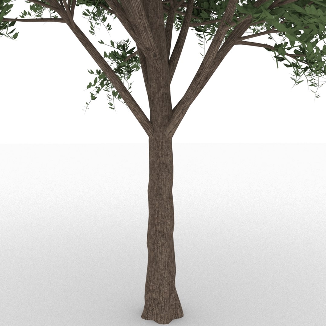 3d model vraymesh mentalray https://p.turbosquid.com/ts-thumb/h7/iracoS/fiWK2T7h/3/jpg/1490420514/1920x1080/fit_q87/5586bbac198664f87e7046007f794997c345cfa7/3.jpg