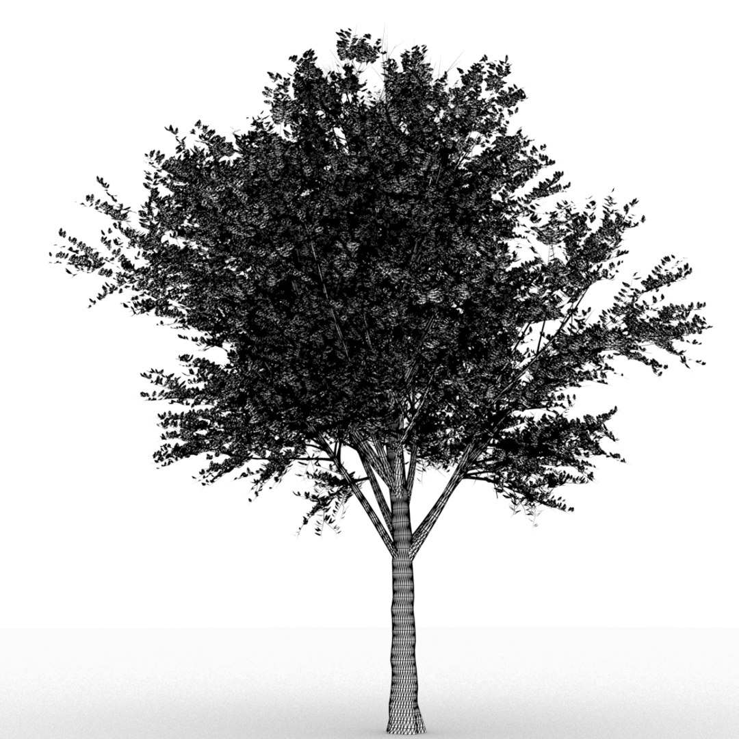 3d model vraymesh mentalray https://p.turbosquid.com/ts-thumb/h7/iracoS/yuhznOE0/4/jpg/1490417409/1920x1080/fit_q87/b9ca2f1ca9d8f37d5056298f3f6a68d799538cd3/4.jpg