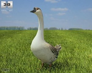 goose chinese max