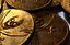 Pirate Coin