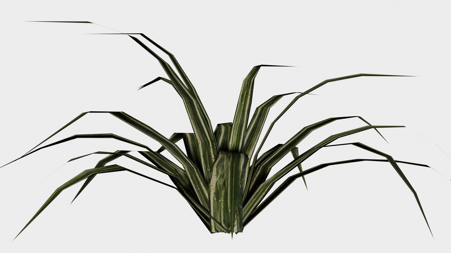 3D 16 in 1 Ornamental non-flowering plants - Game Assets - Low Poly https://p.turbosquid.com/ts-thumb/h7/u9QmwF/01/spider_plant_01/png/1745037820/1920x1080/fit_q87/95909c803bdd736a984da3cd7f802dd49052edc5/spider_plant_01.jpg