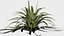16 in 1 Ornamental non-flowering plants - Game Assets - Low Poly