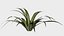 16 in 1 Ornamental non-flowering plants - Game Assets - Low Poly