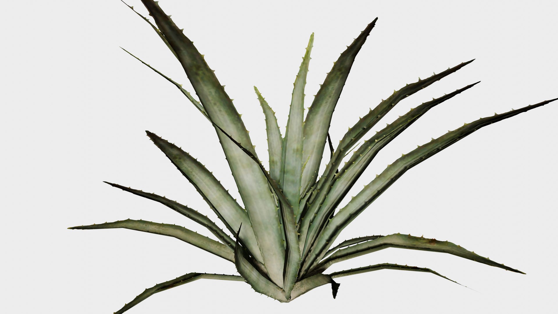 3D 16 in 1 Ornamental non-flowering plants - Game Assets - Low Poly https://p.turbosquid.com/ts-thumb/h7/u9QmwF/SC/aloevera/png/1745037764/1920x1080/fit_q87/82fac1374057f0211f200ae21ddbddb838cbc991/aloevera.jpg