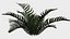 16 in 1 Ornamental non-flowering plants - Game Assets - Low Poly