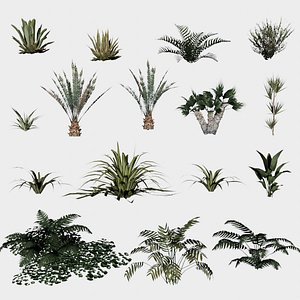 3D 16 in 1 Ornamental non-flowering plants - Game Assets - Low Poly