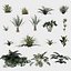 16 in 1 Ornamental non-flowering plants - Game Assets - Low Poly