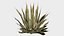 16 in 1 Ornamental non-flowering plants - Game Assets - Low Poly