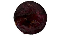 Half Cabbage