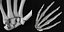 human hand bones 3d model