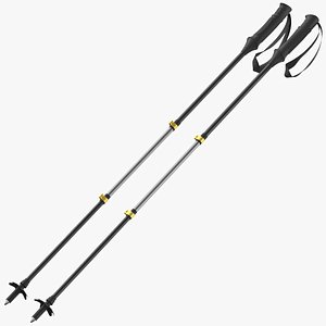 Hiking Or Ski Pole 03