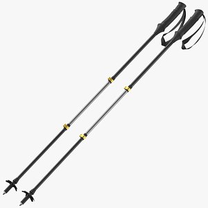 Hiking Or Ski Pole 03