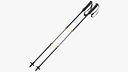 Hiking Or Ski Pole 03