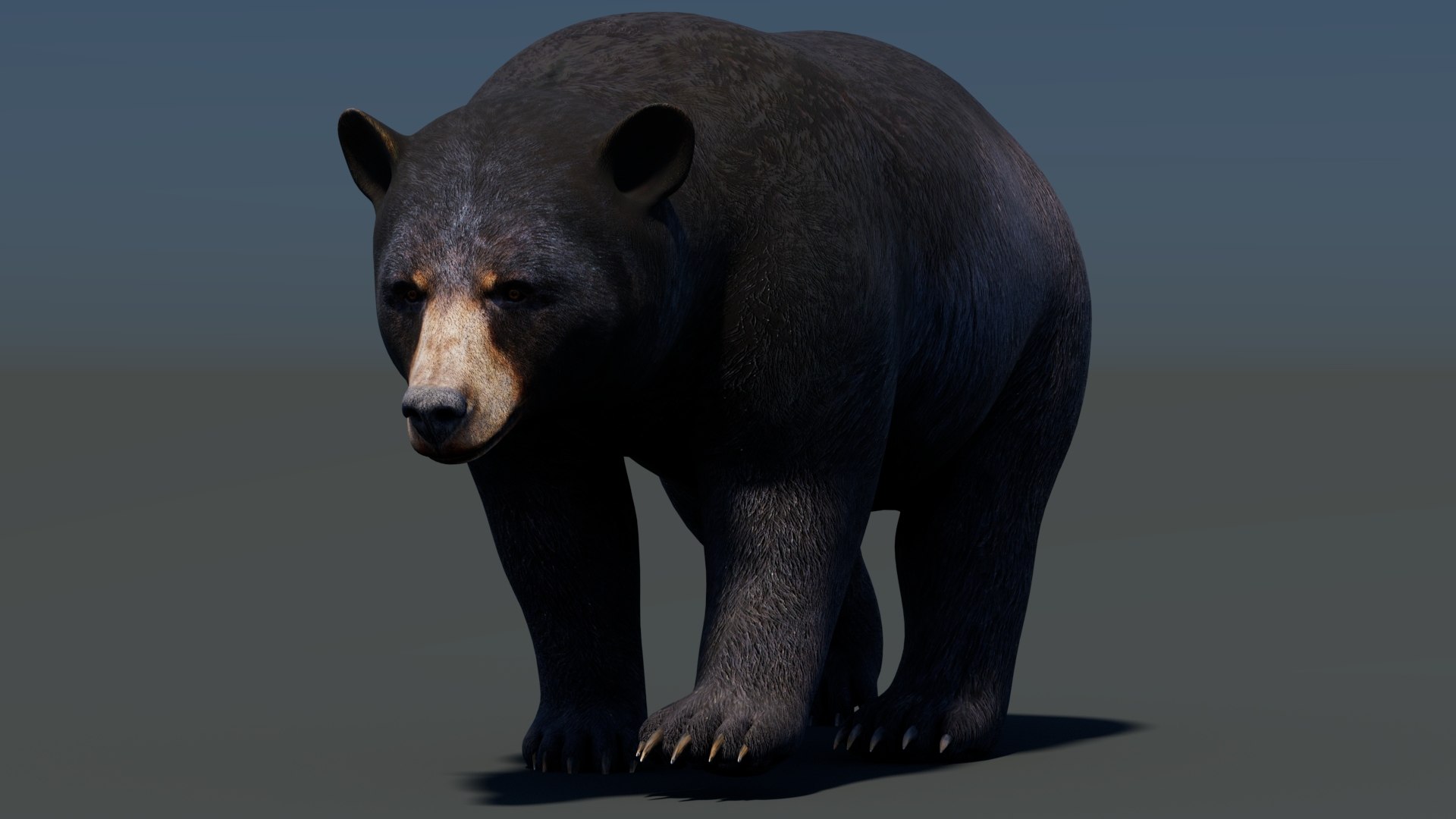3D model Animated Bear Family 3D Bundle — Black Bear and Sloth Bear https://p.turbosquid.com/ts-thumb/h7/xjuBA0/Wr/animatedblackbear3dmodel01/jpg/1770489060/1920x1080/fit_q87/4c11c970db2bf30afa84fd95003560ee842b68d3/animatedblackbear3dmodel01.jpg