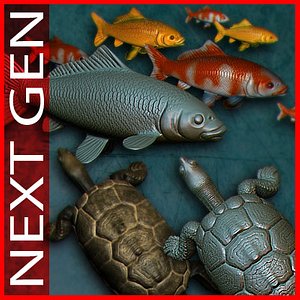 turtle koi 3d model