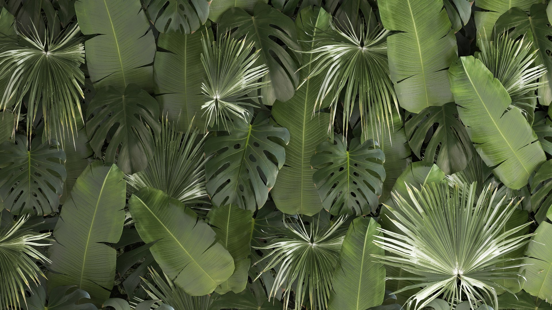 3D Vertical Garden From Plant Branches In A Phytobox 68 https://p.turbosquid.com/ts-thumb/h8/6CLzn9/9Q/1phytobox2109202205/jpg/1663854920/1920x1080/fit_q87/6223f1a1fa4029764859e44767e02dbbbe188031/1phytobox2109202205.jpg