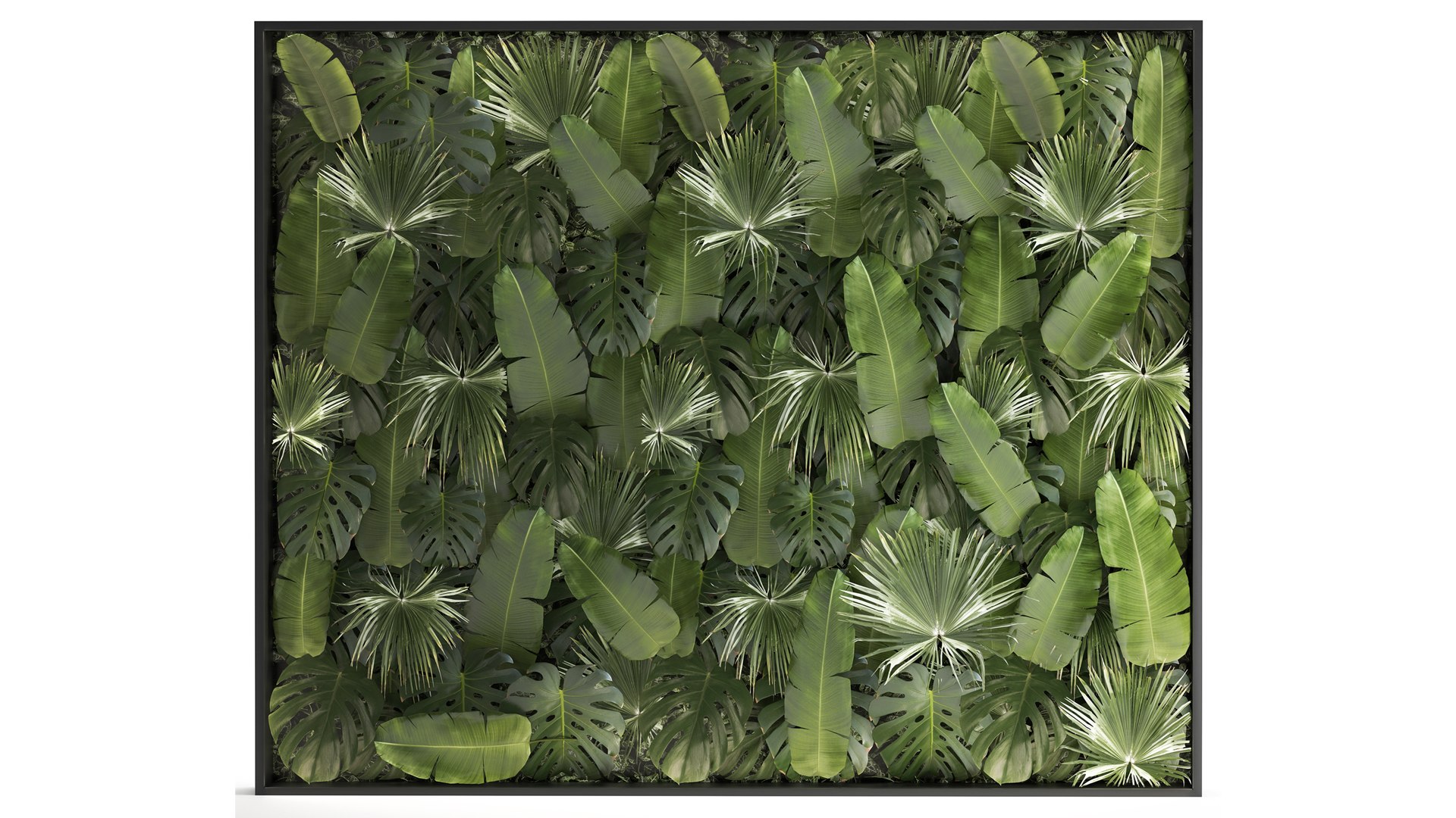 3D Vertical Garden From Plant Branches In A Phytobox 68 https://p.turbosquid.com/ts-thumb/h8/6CLzn9/Uz/1phytobox2109202202/jpg/1663854919/1920x1080/fit_q87/99530d66d62ad1b7c30b6802547a454272f3f6da/1phytobox2109202202.jpg