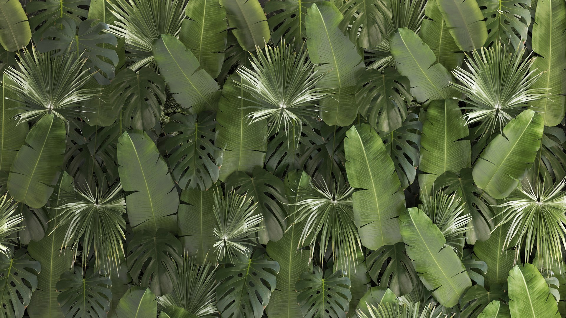 3D Vertical Garden From Plant Branches In A Phytobox 68 https://p.turbosquid.com/ts-thumb/h8/6CLzn9/r0/1phytobox2109202204/jpg/1663854920/1920x1080/fit_q87/4e7ac31798d3f2d5d31f9f403ad000b9aa9d3d6f/1phytobox2109202204.jpg